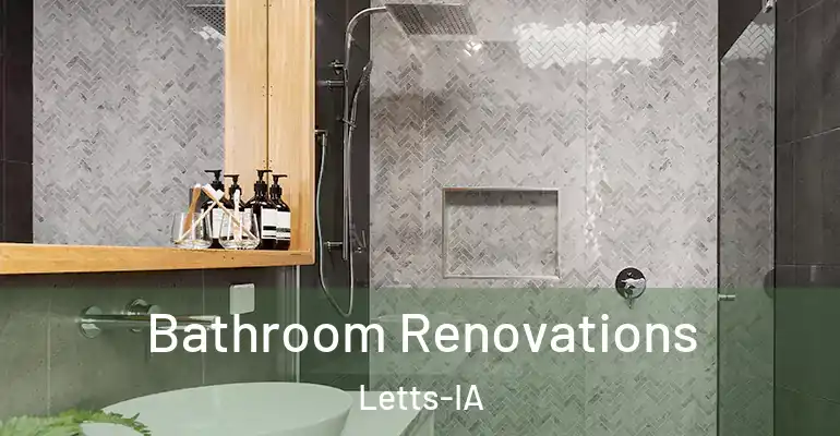 inner Bathroom imggen Bathroom Renovations Letts-IA