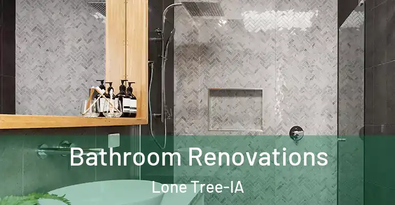 inner Bathroom imggen Bathroom Renovations Lone Tree-IA