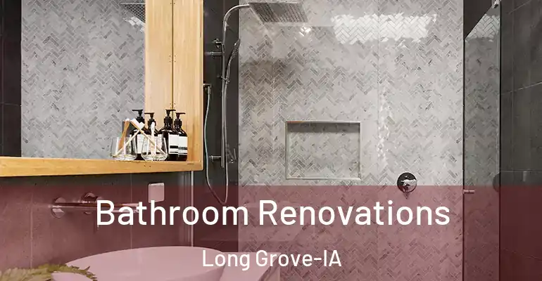 inner Bathroom imggen Bathroom Renovations Long Grove-IA
