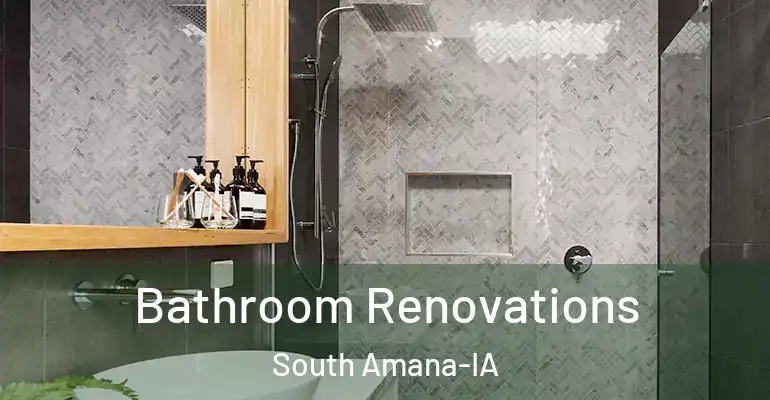 inner Bathroom imggen Bathroom Renovations South Amana-IA