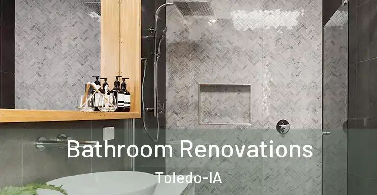 inner Bathroom imggen Bathroom Renovations Toledo-IA