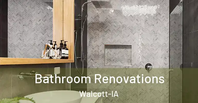 inner Bathroom imggen Bathroom Renovations Walcott-IA