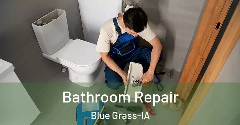 inner Bathroom imggen Bathroom Repair Blue Grass-IA