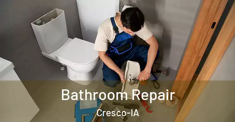 inner Bathroom imggen Bathroom Repair Cresco-IA