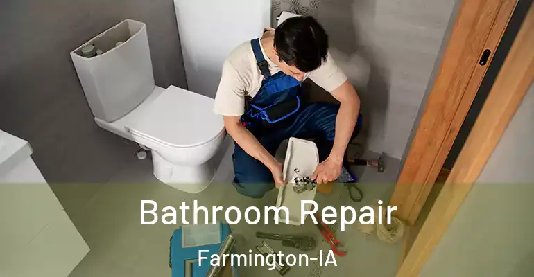 inner Bathroom imggen Bathroom Repair Farmington-IA