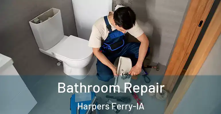 inner Bathroom imggen Bathroom Repair Harpers Ferry-IA