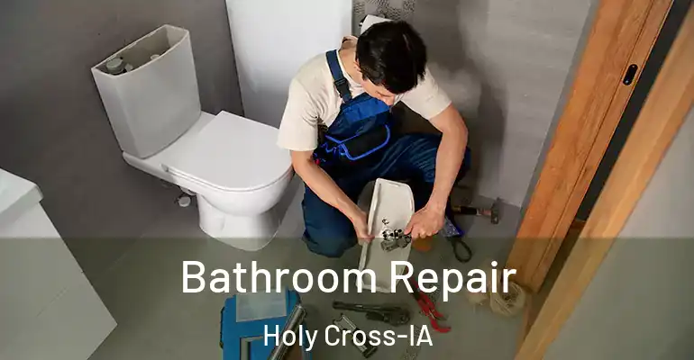 inner Bathroom imggen Bathroom Repair Holy Cross-IA