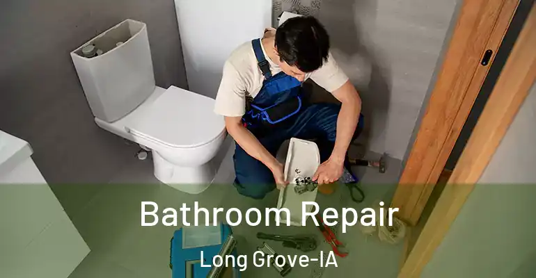 inner Bathroom imggen Bathroom Repair Long Grove-IA