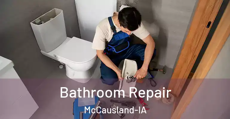 inner Bathroom imggen Bathroom Repair McCausland-IA