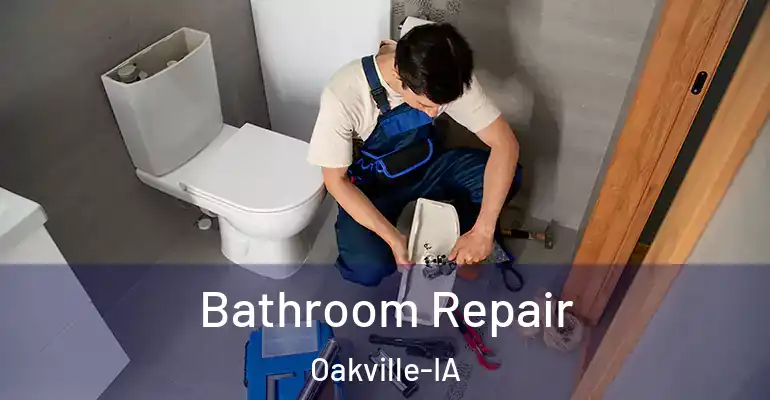 inner Bathroom imggen Bathroom Repair Oakville-IA