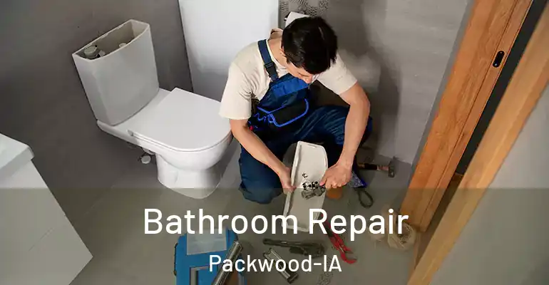inner Bathroom imggen Bathroom Repair Packwood-IA
