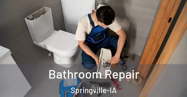 inner Bathroom imggen Bathroom Repair Springville-IA