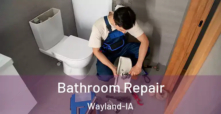 inner Bathroom imggen Bathroom Repair Wayland-IA