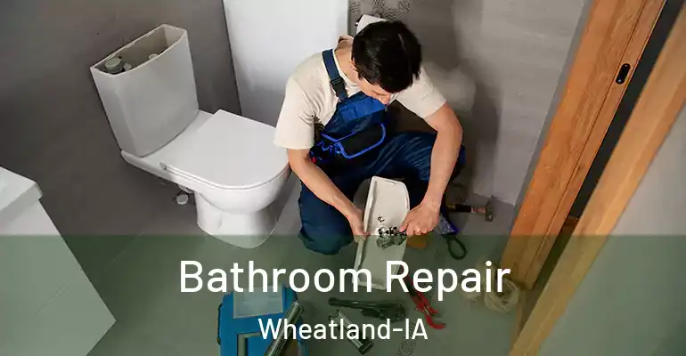 inner Bathroom imggen Bathroom Repair Wheatland-IA