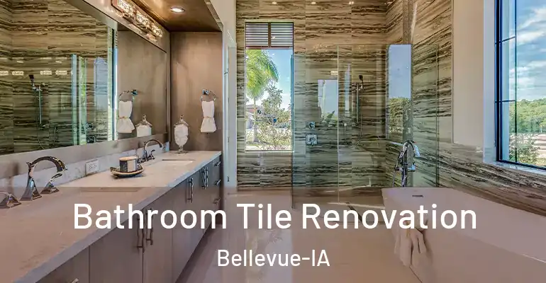 inner Bathroom imggen Bathroom Tile Renovation Bellevue-IA