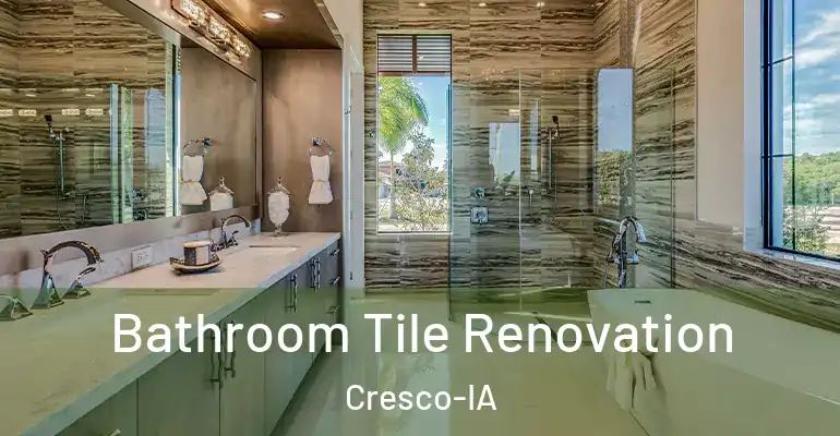 inner Bathroom imggen Bathroom Tile Renovation Cresco-IA