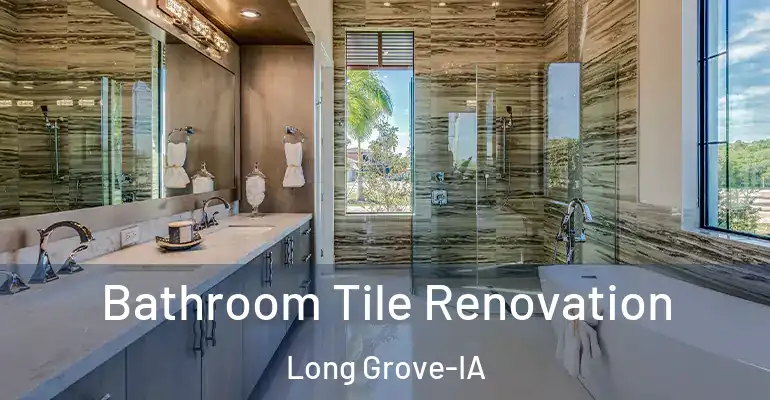 inner Bathroom imggen Bathroom Tile Renovation Long Grove-IA