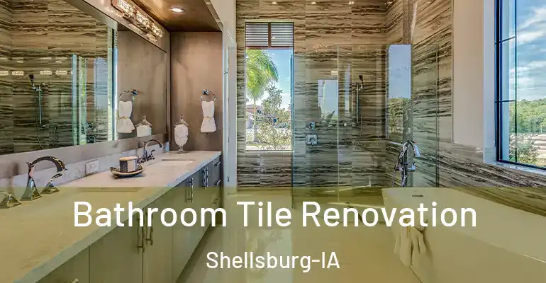 inner Bathroom imggen Bathroom Tile Renovation Shellsburg-IA