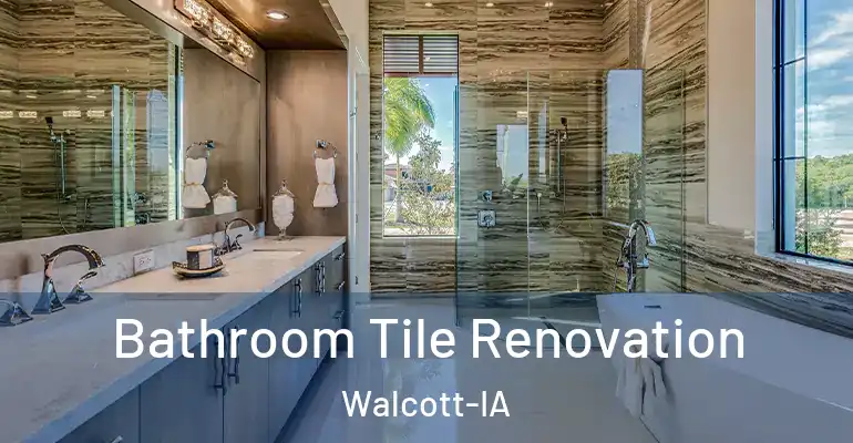 inner Bathroom imggen Bathroom Tile Renovation Walcott-IA
