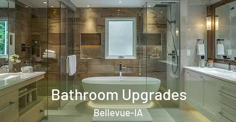 inner Bathroom imggen Bathroom Upgrades Bellevue-IA