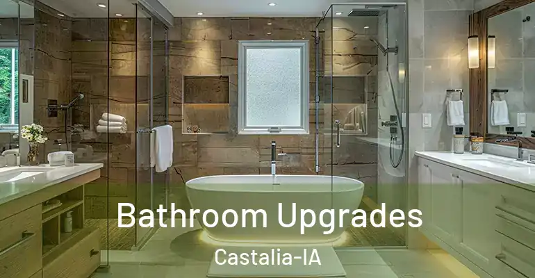 inner Bathroom imggen Bathroom Upgrades Castalia-IA