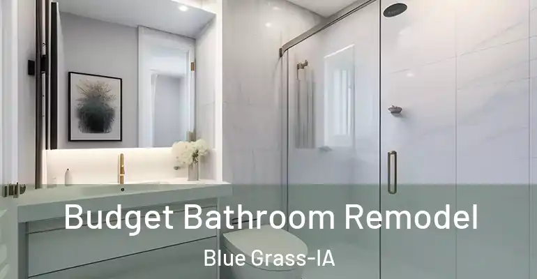 inner Bathroom imggen Budget Bathroom Remodel Blue Grass-IA