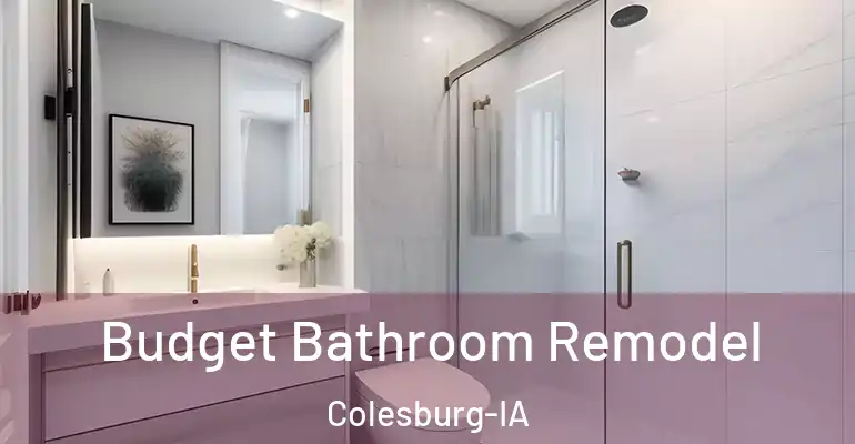 inner Bathroom imggen Budget Bathroom Remodel Colesburg-IA