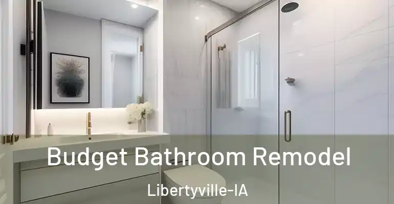inner Bathroom imggen Budget Bathroom Remodel Libertyville-IA