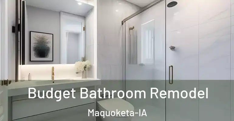 inner Bathroom imggen Budget Bathroom Remodel Maquoketa-IA