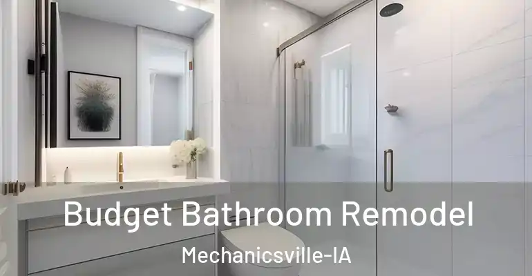 inner Bathroom imggen Budget Bathroom Remodel Mechanicsville-IA