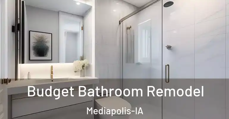 inner Bathroom imggen Budget Bathroom Remodel Mediapolis-IA