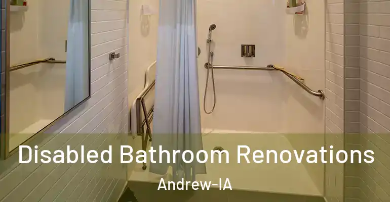 inner Bathroom imggen Disabled Bathroom Renovations Andrew-IA