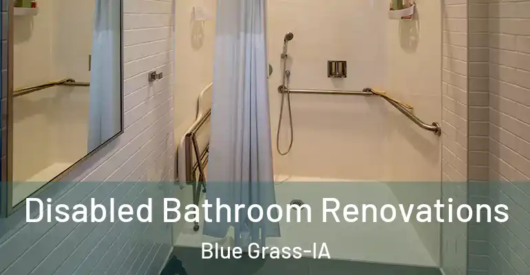 inner Bathroom imggen Disabled Bathroom Renovations Blue Grass-IA