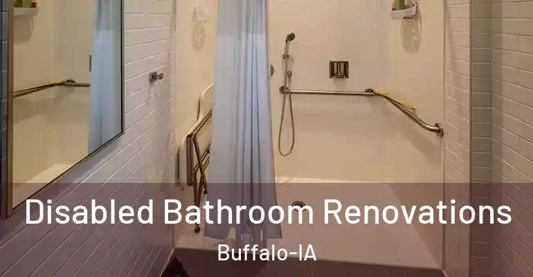 inner Bathroom imggen Disabled Bathroom Renovations Buffalo-IA