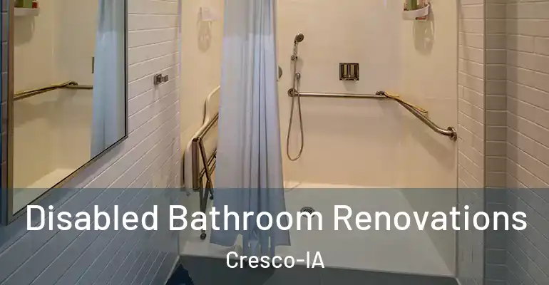 inner Bathroom imggen Disabled Bathroom Renovations Cresco-IA