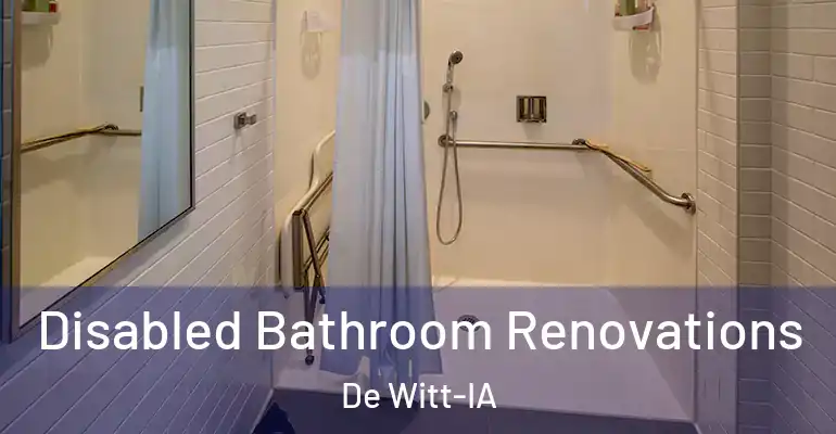 inner Bathroom imggen Disabled Bathroom Renovations De Witt-IA