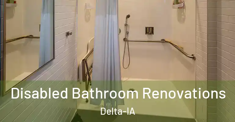 inner Bathroom imggen Disabled Bathroom Renovations Delta-IA