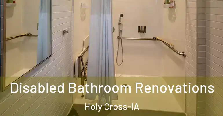 inner Bathroom imggen Disabled Bathroom Renovations Holy Cross-IA