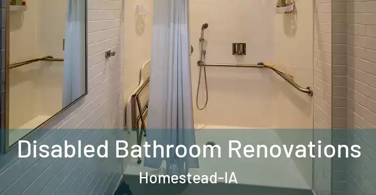 inner Bathroom imggen Disabled Bathroom Renovations Homestead-IA