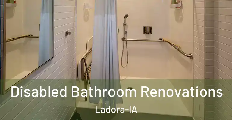 inner Bathroom imggen Disabled Bathroom Renovations Ladora-IA