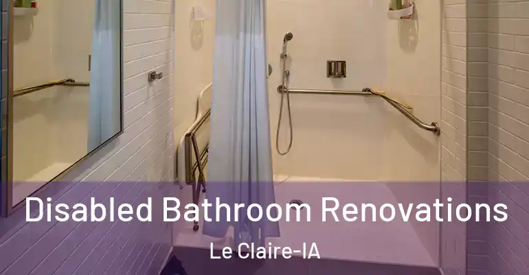 inner Bathroom imggen Disabled Bathroom Renovations Le Claire-IA