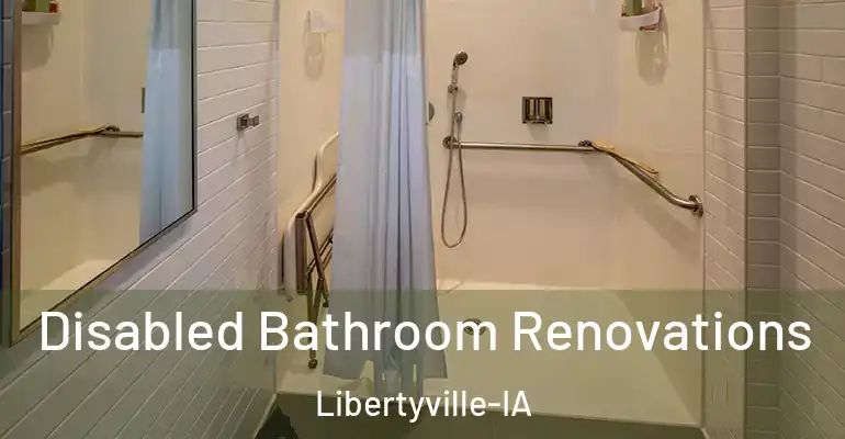 inner Bathroom imggen Disabled Bathroom Renovations Libertyville-IA