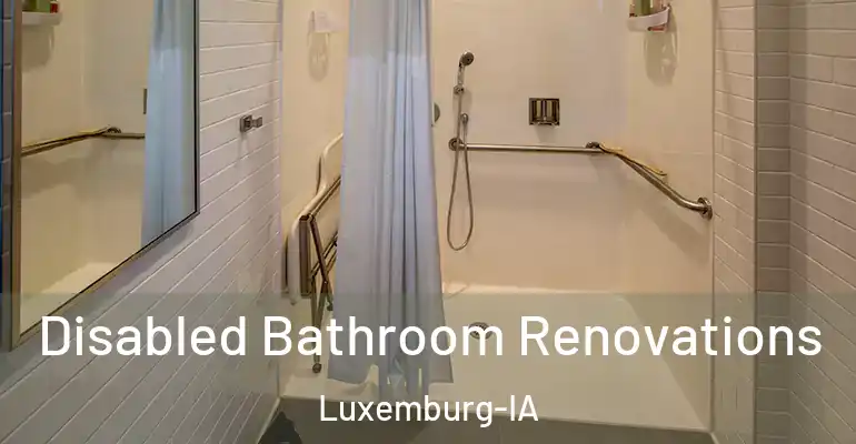 inner Bathroom imggen Disabled Bathroom Renovations Luxemburg-IA