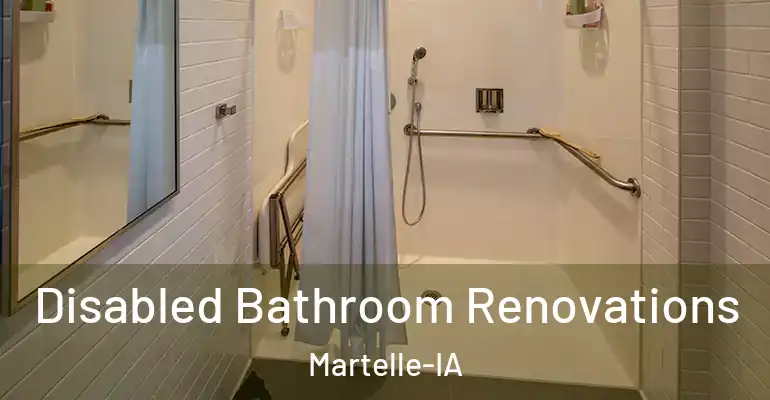 inner Bathroom imggen Disabled Bathroom Renovations Martelle-IA
