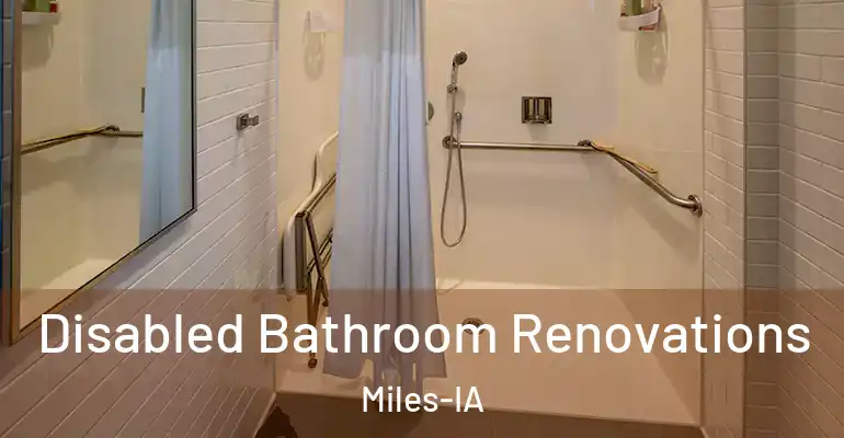 inner Bathroom imggen Disabled Bathroom Renovations Miles-IA