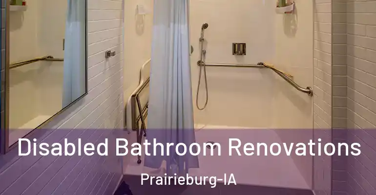 inner Bathroom imggen Disabled Bathroom Renovations Prairieburg-IA
