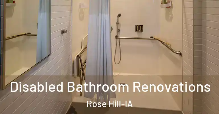 inner Bathroom imggen Disabled Bathroom Renovations Rose Hill-IA