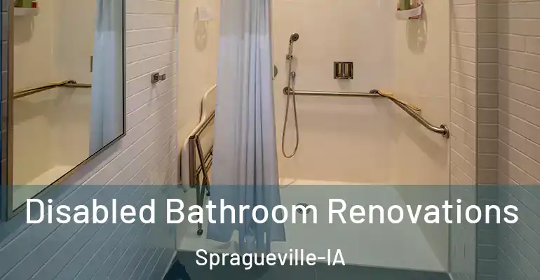 inner Bathroom imggen Disabled Bathroom Renovations Spragueville-IA