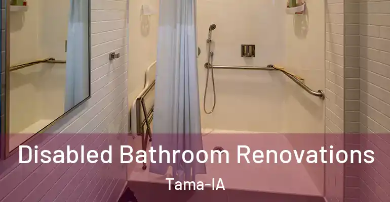 inner Bathroom imggen Disabled Bathroom Renovations Tama-IA