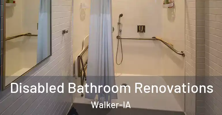 inner Bathroom imggen Disabled Bathroom Renovations Walker-IA